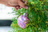 Confetti Ornament